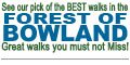 Walk our pick of The Best Walks in The Forest of Bowland - Walks you must not miss!