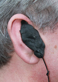 Earcandi earphones top
