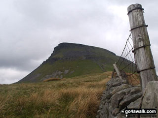 Pen-y-ghent from the Pennine Way on Fawcett Moor