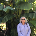  Walker, 65, go4awalk.com Account Holder based near Chichester