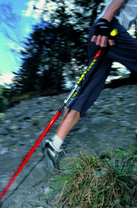 Nordic Walking Training Session