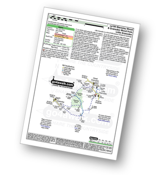 Walk route map with easy-to-follow route instructions for walk ca106 Waresley Wood and Gransden Wood from Little Gransden pdf