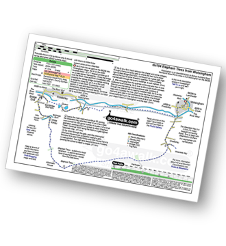 Map with easy-to-follow route details for walk du104 Elephant Trees from Wolsingham pdf