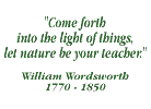 Come forth, into the light of things, let nature be your teacher - William Wordsworth