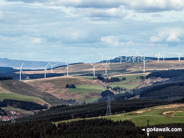 Foel Fynyddau Photo by Amanda Jones