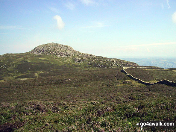 Walk cw283 Tal y Fan, Foel-ganol, Yr Orsedd and Drum (Carneddau) from Cae Coch - Tal y Fan from Foel Lwyd