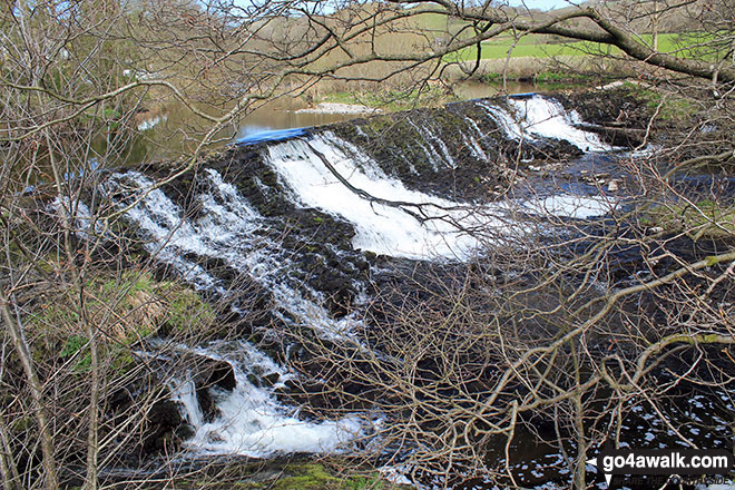 The weir on the River Kent, Staveley 