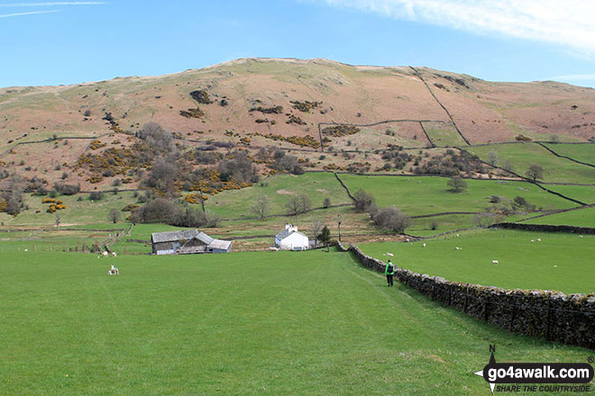 Walk c268 Potter Tarn, and The River Kent from Staveley - Brunt Knott (Potter Fell) from Staveley