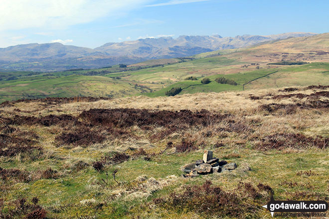 Walk c268 Potter Tarn, and The River Kent from Staveley - The tiny cairn on the summit of Brunt Knott (South Top)