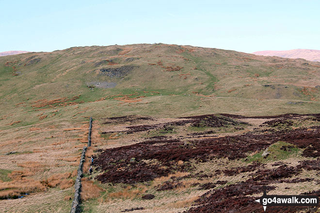 Brunt Knott (Potter Fell) from the summit of Brunt Knott (South Top) 