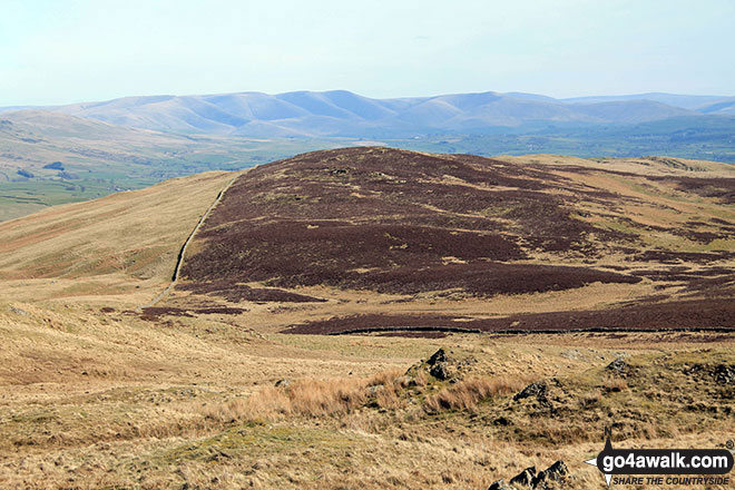 Brunt Knott (East Top) from Brunt Knott (Potter Fell) 