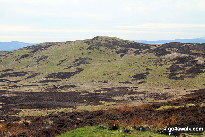 Brunt Knott (South Top) from Brunt Knott (East Top)