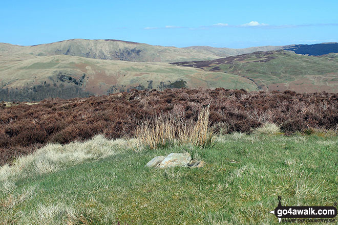 Walk Brunt Knott (East Top) walking UK Mountains in The South Eastern Marches The Lake District National Park Cumbria, England