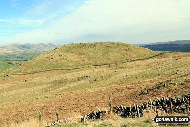 Brunt Knott (Potter Fell) from Ulgraves (Potter Fell) 