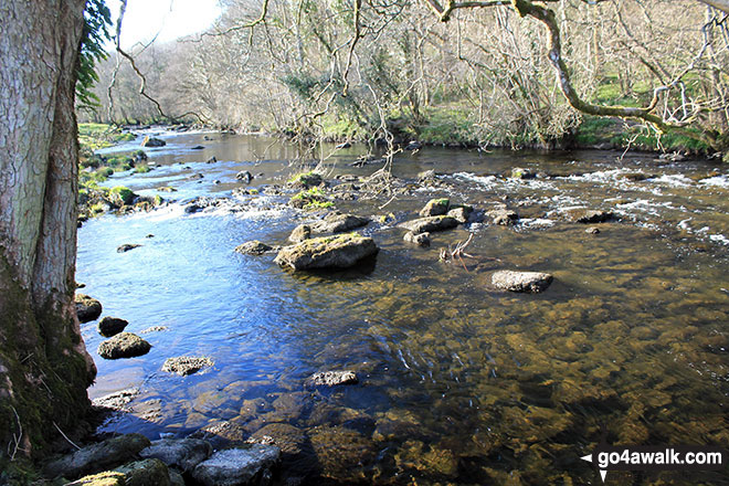 Walk c268 Potter Tarn, and The River Kent from Staveley - The River Kent near Staveley