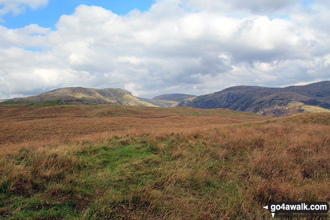 Walk c480 Hollow Moor (Green Quarter) from Kentmere - The grassy summit of Cocklaw Fell with the Kentmere Horseshoe in the background