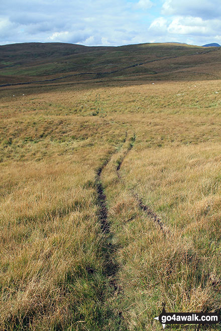 Walk c480 Hollow Moor (Green Quarter) from Kentmere - The track leading off Cocklaw Fell towards Hollow Moor (Green Quarter Fell)