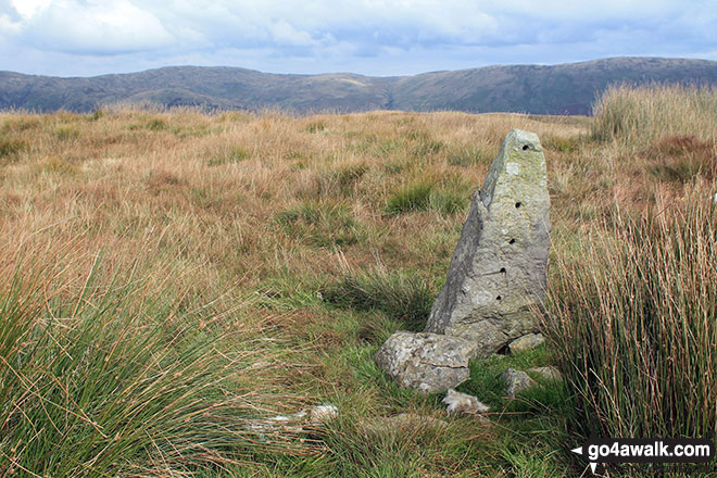 Old gate/fence post marking the summit of Hollow Moor (Green Quarter Fell) 