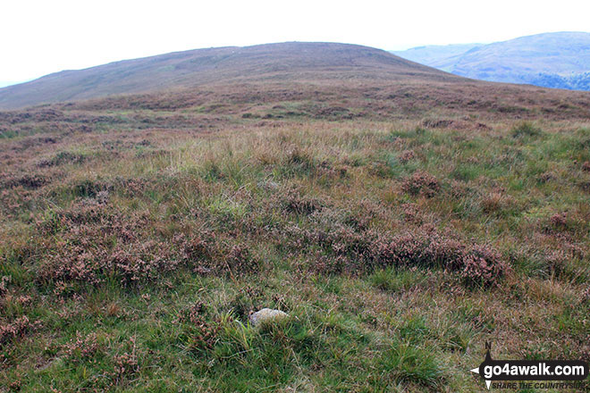 Walk Hollow Moor (North East Top) walking UK Mountains in The Far Eastern Fells The Lake District National Park Cumbria, England