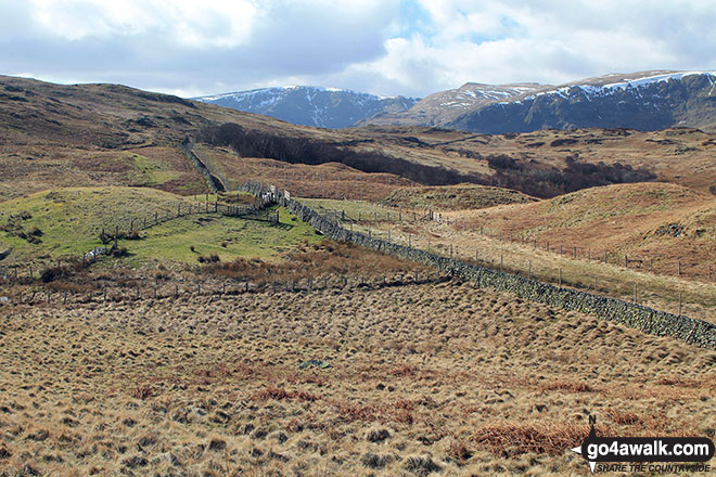 High Street, Kidsty Pike and High Raise (Mardale) from the summit cairn on Harper Hills 