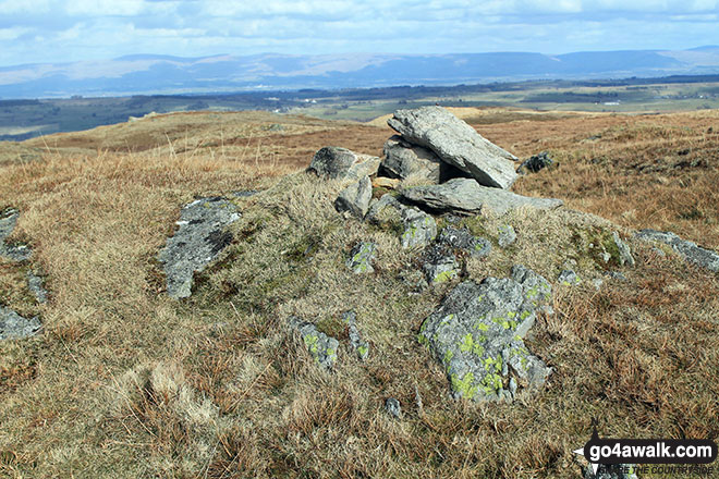 The summit cairn on Kit Crag (Naddle Forest) 