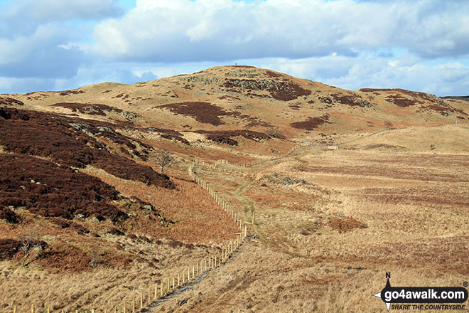 Hugh's Laithes Pike from Kit Crag (Naddle Forest) 