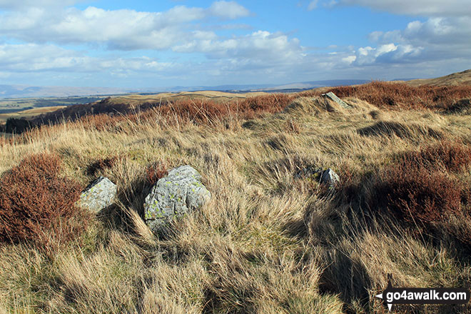 The small cairn on the summit of Kit Crag (Naddle Forest)