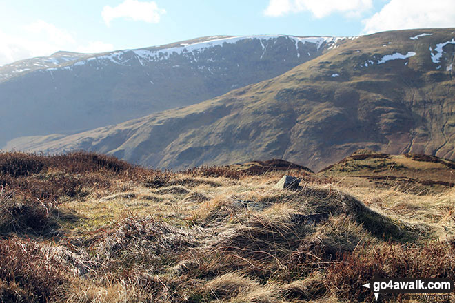 Whether Hill from the summit of Kit Crag (Naddle Forest)