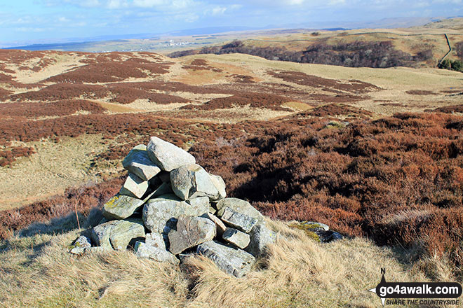 Wallow Crag (Naddle Forest) Photo by Andy Lyons