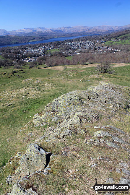 Walk c185 School Knott and The Dales Way from Ings - Lake Windermere and Bowness-on-Windermere from School Knott