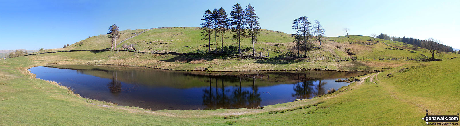 Walk c185 School Knott and The Dales Way from Ings - Small lake on the Dales way south west of School Knott