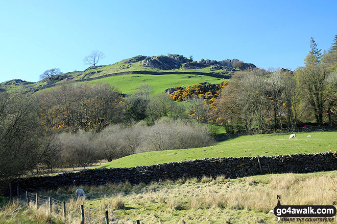 Brand Fell from near Lindeth Farm 