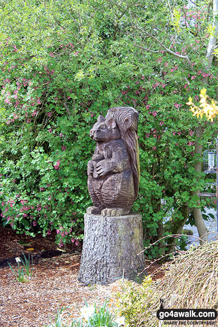 Walk c377 Faulds Browfrom Caldbeck - Squirrel Sculture in Caldbeck