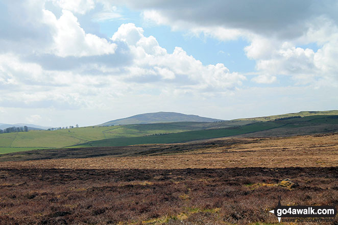 Binsey from Faulds Brow