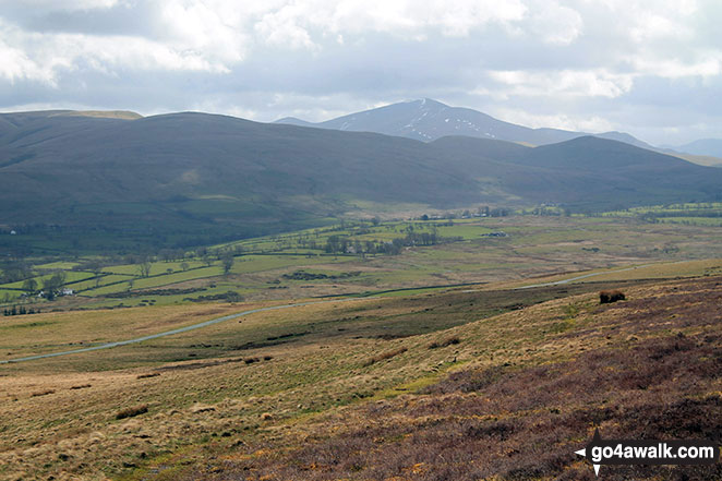 Skiddaw from Faulds Brow 