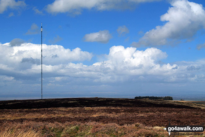 Brocklebank Telecommunications Mast from Faulds Brow 