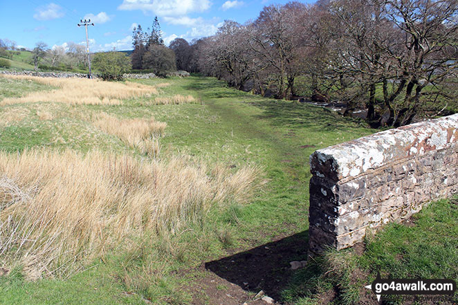 Walk c377 Faulds Browfrom Caldbeck - The beck side path at Whelpo Bridge