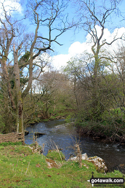 Walk c377 Faulds Browfrom Caldbeck - Whelpo Beck