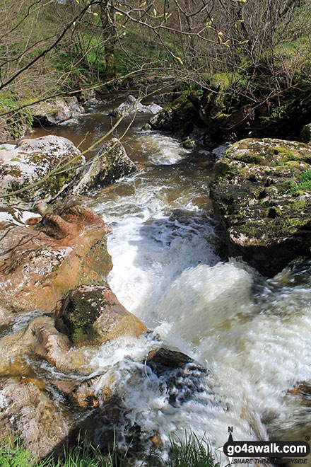 Walk c377 Faulds Browfrom Caldbeck - Whelpo Beck