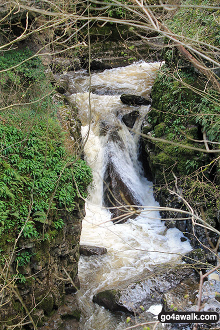 Walk c377 Faulds Browfrom Caldbeck - Whelpo Beck