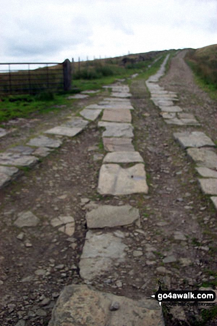 Walk l162 Cowpe Moss and Hail Storm Hill from Cowpe - Ancient Tracks on Rooley Moor