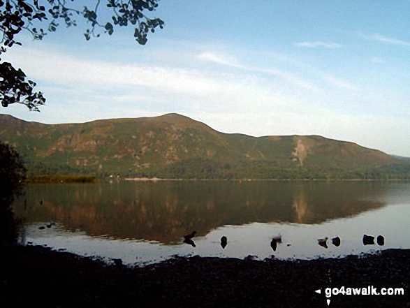 Walk c100 The Newlands Horseshoe from Hawes End - Cat Bells (Catbells) from near Barrow Bay on the Eastern shore of Derwent Water