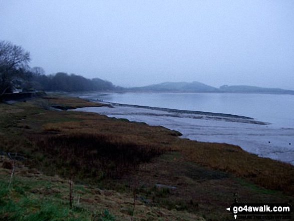 Walk c119 Canal Foot, Morecambe Bay and Birkrigg Common from Ulverston - Morecambe Bay from Canal Foot, Ulverston