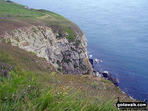 Walk do118 Abbotsbury Castle and Chesil Beach from West Bexington - On the South West Coast Path