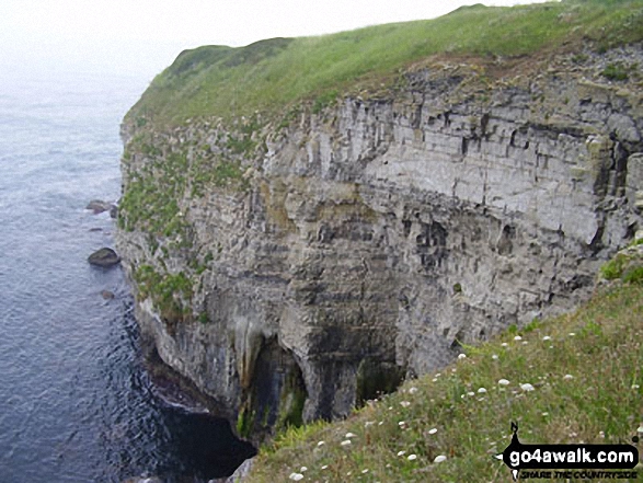 Walk do115 Corfe Castle and Houns Tout Cliffs from Worth Matravers - On the South West Coast Path