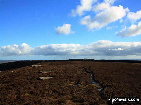 East towards Simonside from the top of Tosson Hill