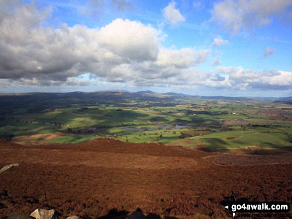 North towards The Cheviot Hills from Tosson Hill summit