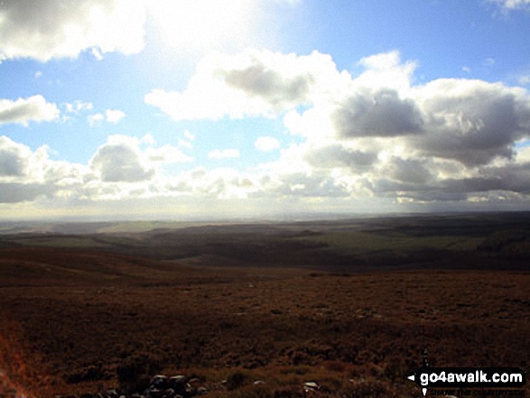 South across Harwood Forest from the summit of Tosson Hill