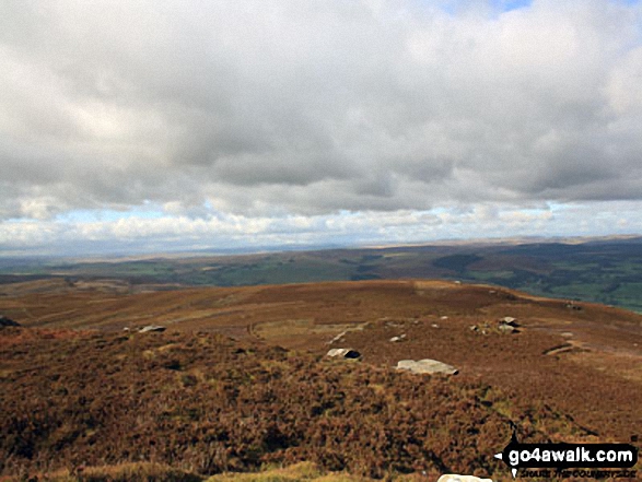 West to The Kielder Forest from Tosson Hill trig point 