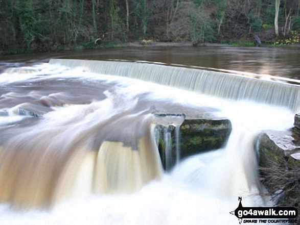 Walk ny157 High Harker Hill and Greets Hill from Reeth - The River Swale at Richmond